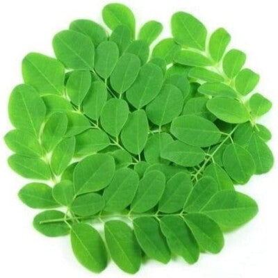 Fresh Moringa (Malunggay) 200g